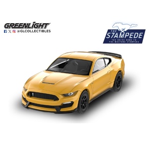 greenlight-gl125402d-2017-ford-mustang-shelby-gt350-1-64-a